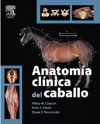 Anatomía clínica del caballo