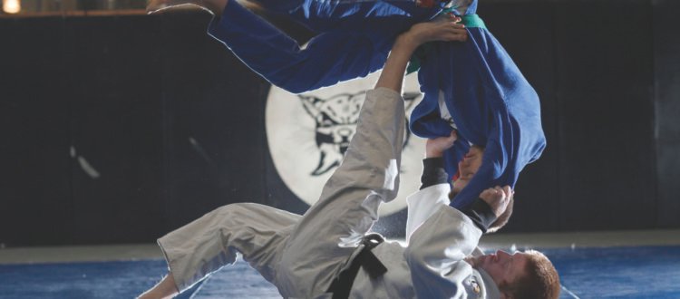 Artes Marciales: Entrenamiento